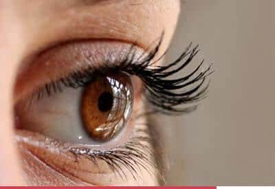 Sérum Pousse des Cils et Sourcils